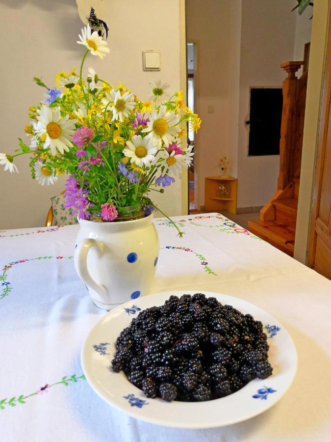 Chalupa Branzez Komarovsky Rybnik ภายนอก รูปภาพ